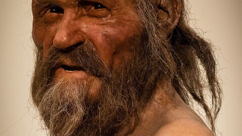 Le portrait de l'homme des glaces ötzi