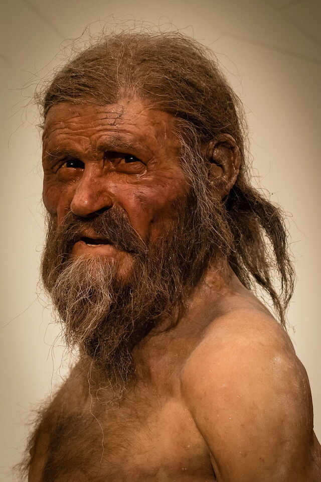 Le portrait de l'homme des glaces ötzi