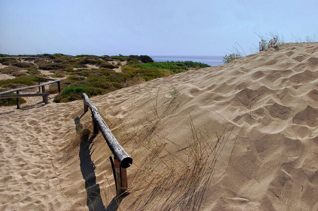 Dunes de Campomarino