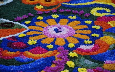 Créations florales à Spello