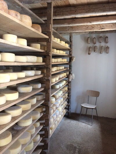 plein de Pecorino