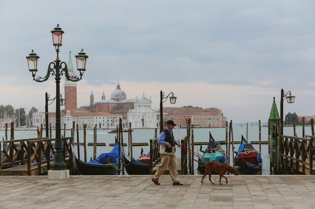promenade à Venise avec un chien