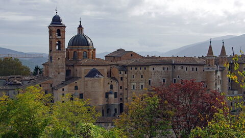 urbino