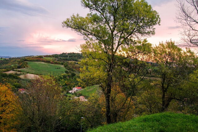 Paysage des Marches