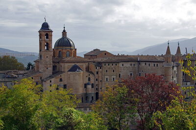 urbino