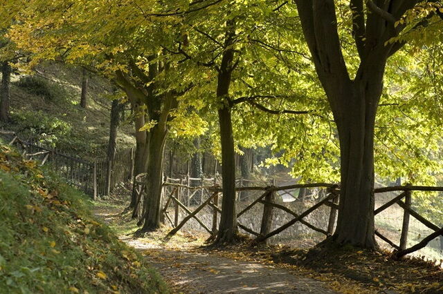 Parco Giardino Sigurtà, promenades d'automne
