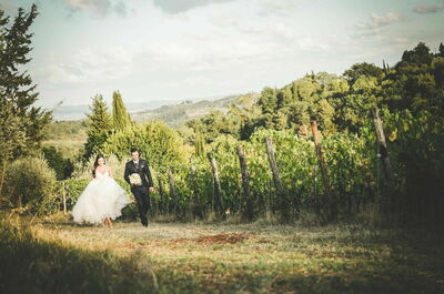 Antico Borgo San Lorenzo, vignoble