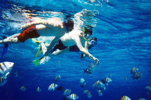 Plongée avec tuba pour voir la vie marine