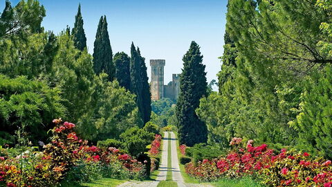 avenue des roses