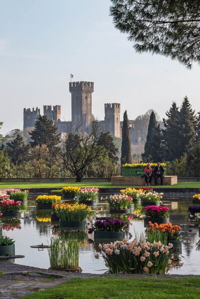 Parterres flottants de Tulipanomania