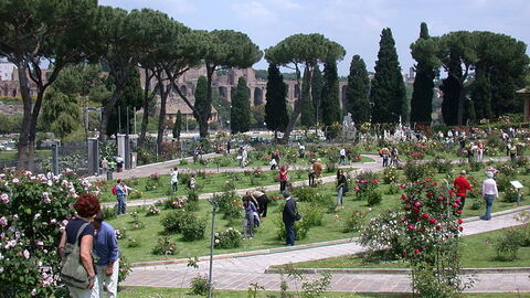 Roseraie de rome