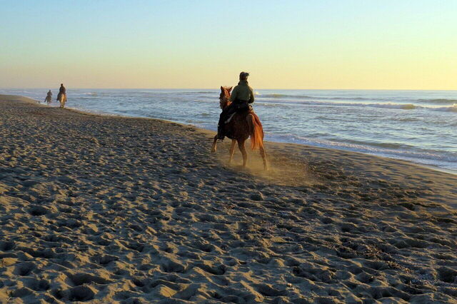 équitation sur la côte toscane