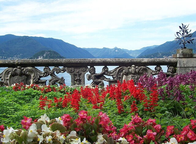 jardin