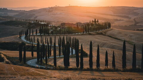 route bordée de cyprès-toscane