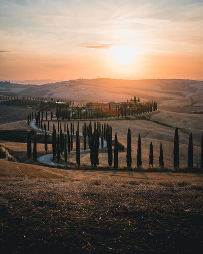 route bordée de cyprès-toscane