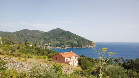 La Regolina