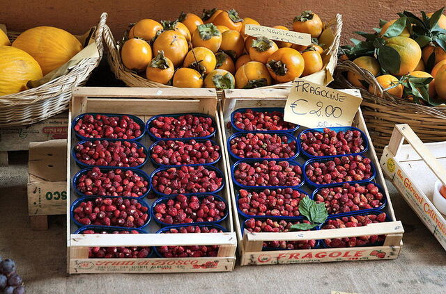 Des paniers de fraises des bois de Némi