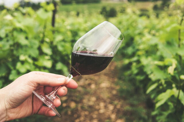 vignoble