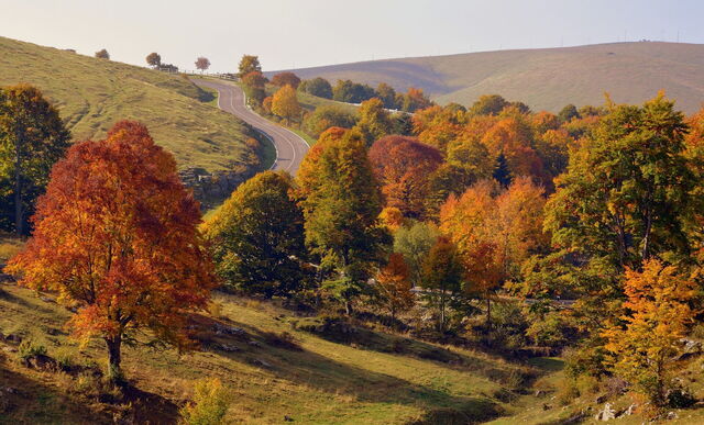 Campagne toscane en automne