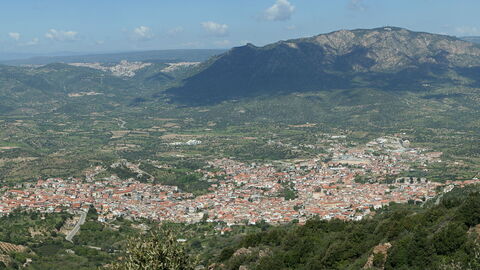 Oliena