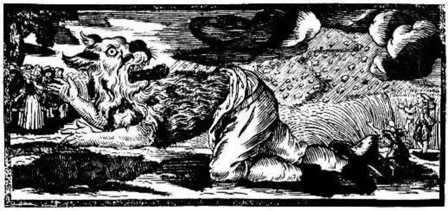 Une gravure de loup-garou