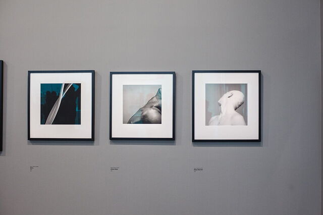 Œuvres de Mapplethorpe