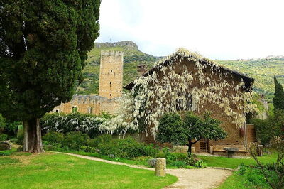 Jardin de Ninfa