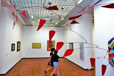 Calder dans la Galleria civica d'arte moderna e contemporanea di Torino