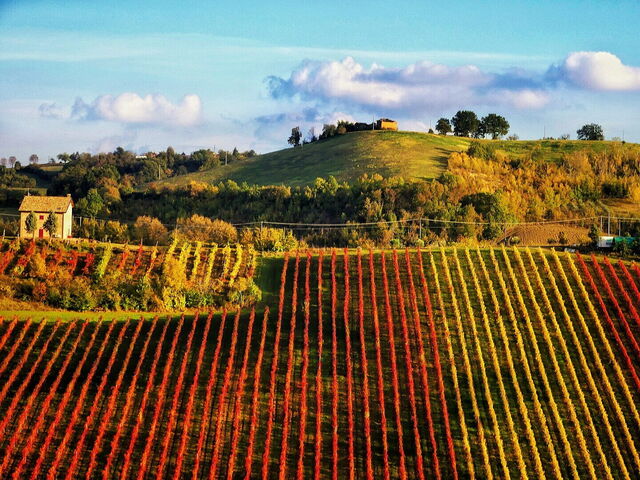 paysage vignola