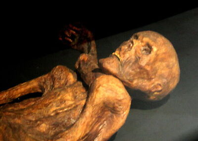 reconstruction momie otzi