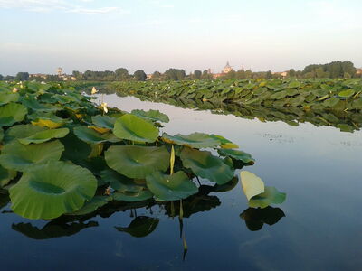 Île Lotus, voie navigable