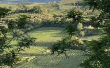 Photos éffectuées par les clients de Villa la Vedetta