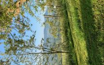 Photos éffectuées par les clients de Il Poggiarone 6