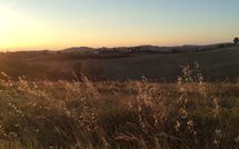 Photos éffectuées par les clients de Casa Cipressi