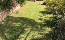 Photos éffectuées par les clients de Casa Cipressi