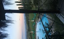 Photos éffectuées par les clients de Montescalari