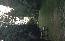 Photos éffectuées par les clients de Montegufoni