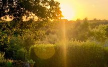 Photos éffectuées par les clients de Country House Il Galleto