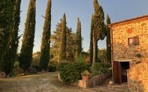 Photos éffectuées par les clients de Country House Il Galleto