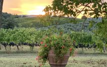 Photos éffectuées par les clients de Vittoriana