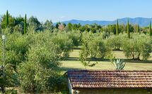 Photos éffectuées par les clients de Galleria di Brolio