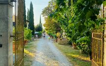 Photos éffectuées par les clients de Tenuta Il Tresto