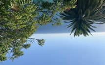 Photos éffectuées par les clients de Villa Ginestra