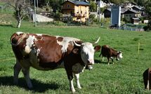 Photos éffectuées par les clients de Maison chez Nous