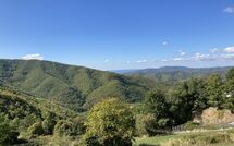 Photos éffectuées par les clients de Villa Margherita