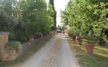 Photos éffectuées par les clients de Tenuta Il Tresto