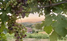 Photos éffectuées par les clients de Casa della Peschiera