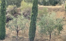 Photos éffectuées par les clients de Casa Cervognano