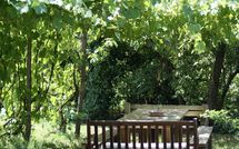 Photos éffectuées par les clients de La Cenerara