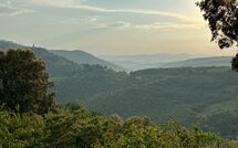 Photos éffectuées par les clients de Villa Crispinino